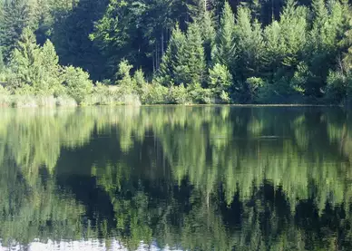 Egelsee in Kufstein © Rufus 46