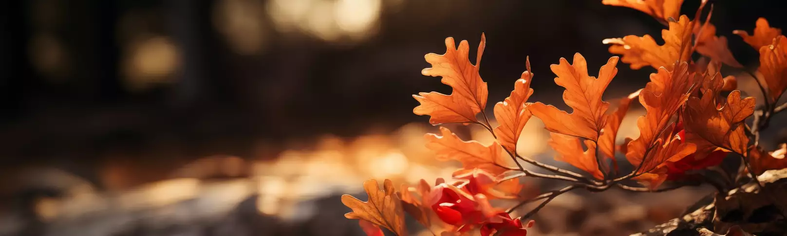 Herbst © Pixabay / mrbitnbyte