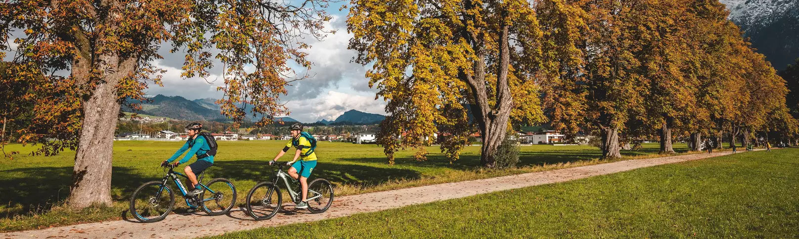 Herbstliche Radtour auf der Kaiserradrunde bei Ebbs – goldene Kastanienallee vor Alpenkulisse © TVB Kufsteinerland / Mathäus Gartner