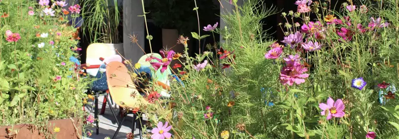 elephant Kufstein Lounge - Sommerterrasse